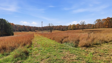 70 Acres Ready to Build Dream Home, Farm or Recreational Spot - image 22
