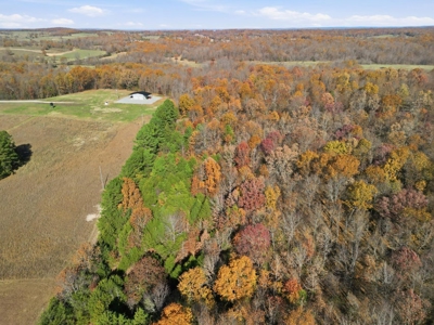 70 Acres Ready to Build Dream Home, Farm or Recreational Spot - image 17
