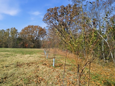 70 Acres Ready to Build Dream Home, Farm or Recreational Spot - image 21