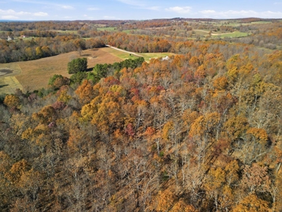 70 Acres Ready to Build Dream Home, Farm or Recreational Spot - image 29