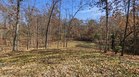 70 Acres Ready to Build Dream Home, Farm or Recreational Spot - image 9