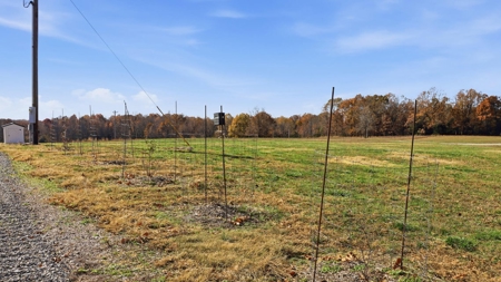 70 Acres Ready to Build Dream Home, Farm or Recreational Spot - image 20