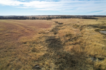 33 Acres For Sale Near Foss Lake OK Hunting Land Clinton Area - image 5
