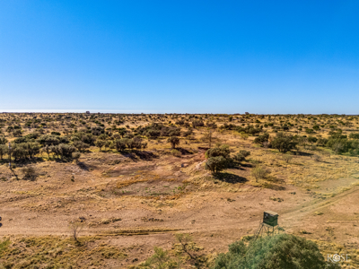 Hill Country 622-Acre Hunting & Ranch Retreat - image 47