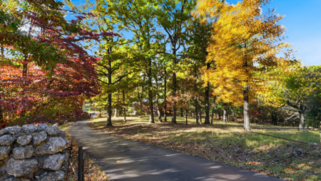 Luxury Bull Shoals Lakefront Home on 5.86 Acres with Dock & Shops - image 48