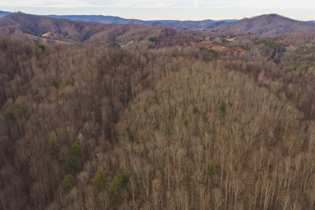 40+/- Secluded Acres Near the New River Lansing/West Jefferson - image 12