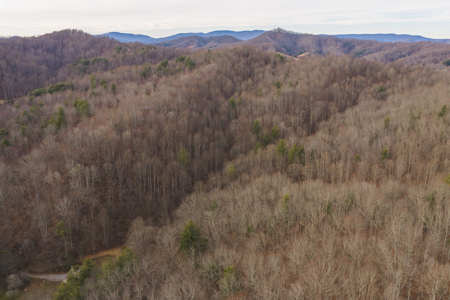 40+/- Secluded Acres Near the New River Lansing/West Jefferson - image 34