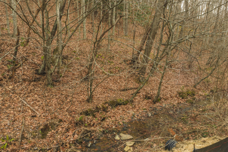 40+/- Secluded Acres Near the New River Lansing/West Jefferson - image 3