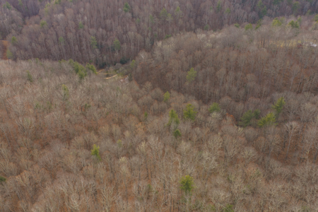 40+/- Secluded Acres Near the New River Lansing/West Jefferson - image 13