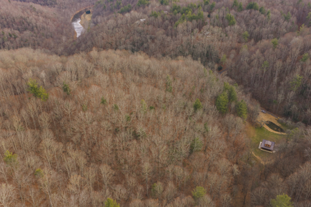 40+/- Secluded Acres Near the New River Lansing/West Jefferson - image 11