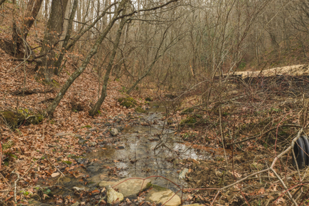40+/- Secluded Acres Near the New River Lansing/West Jefferson - image 22