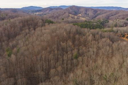 40+/- Secluded Acres Near the New River Lansing/West Jefferson - image 26