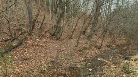 40+/- Secluded Acres Near the New River Lansing/West Jefferson - image 17