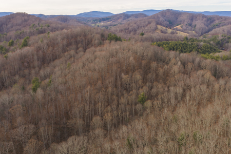 40+/- Secluded Acres Near the New River Lansing/West Jefferson - image 1