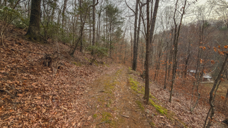 40+/- Secluded Acres Near the New River Lansing/West Jefferson - image 18