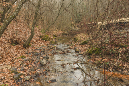 40+/- Secluded Acres Near the New River Lansing/West Jefferson - image 2