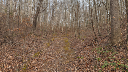 40+/- Secluded Acres Near the New River Lansing/West Jefferson - image 30