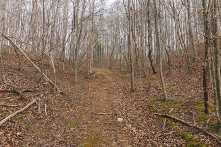 40+/- Secluded Acres Near the New River Lansing/West Jefferson - image 20