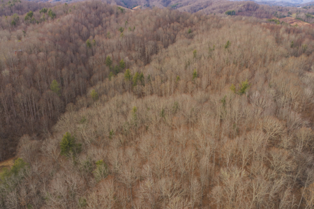 40+/- Secluded Acres Near the New River Lansing/West Jefferson - image 25