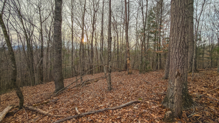 40+/- Secluded Acres Near the New River Lansing/West Jefferson - image 32