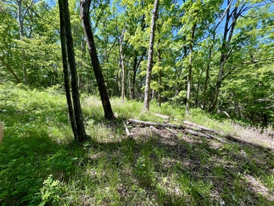 Holiday Island Lot Near Lakes, Golf & Eureka Springs! - image 11