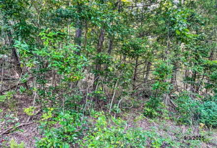 Holiday Island Lot Near Lakes, Golf & Eureka Springs! - image 4