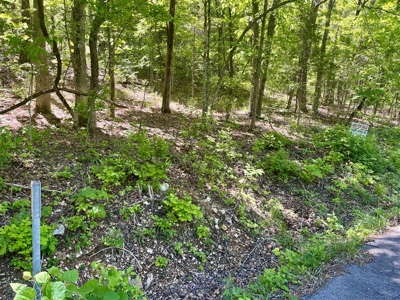 Holiday Island Lot Near Lakes, Golf & Eureka Springs! - image 13