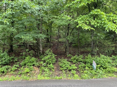 Holiday Island Lot Near Lakes, Golf & Eureka Springs! - image 17