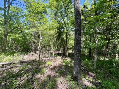 Holiday Island Lot Near Lakes, Golf & Eureka Springs! - image 14