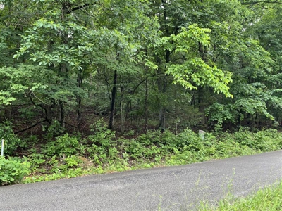 Holiday Island Lot Near Lakes, Golf & Eureka Springs! - image 18
