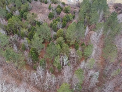 4.31 Acres with Creek & Views in Halifax County, VA - image 15