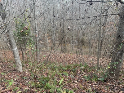 4.31 Acres with Creek & Views in Halifax County, VA - image 11
