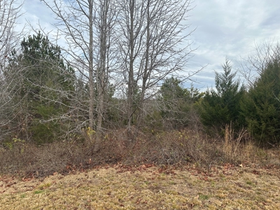 4.31 Acres with Creek & Views in Halifax County, VA - image 6