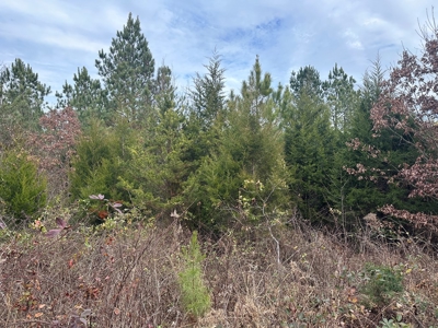 4.31 Acres with Creek & Views in Halifax County, VA - image 8