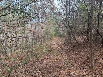 4.31 Acres with Creek & Views in Halifax County, VA - image 10