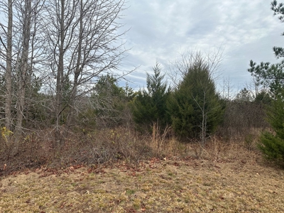 4.31 Acres with Creek & Views in Halifax County, VA - image 7