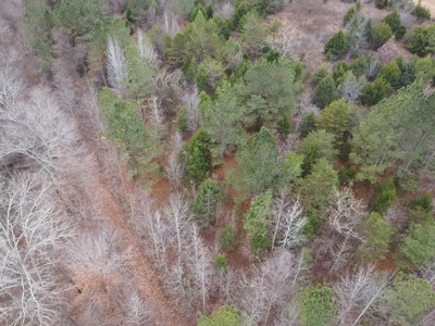 4.31 Acres with Creek & Views in Halifax County, VA - image 19