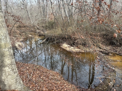 4.31 Acres with Creek & Views in Halifax County, VA - image 13