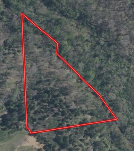 4.31 Acres with Creek & Views in Halifax County, VA - image 20