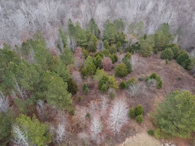 4.31 Acres with Creek & Views in Halifax County, VA - image 1