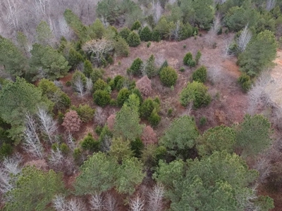 4.31 Acres with Creek & Views in Halifax County, VA - image 16