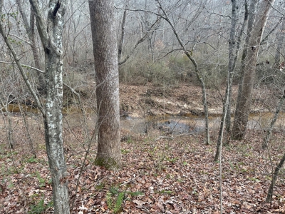 4.31 Acres with Creek & Views in Halifax County, VA - image 12
