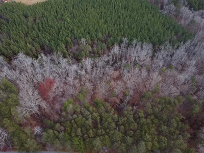 4.19 Acre Building Lot in Western Halifax County, VA - image 15