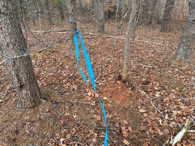 4.19 Acre Building Lot in Western Halifax County, VA - image 6