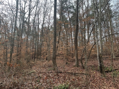 4.19 Acre Building Lot in Western Halifax County, VA - image 7