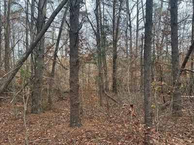 4.19 Acre Building Lot in Western Halifax County, VA - image 4
