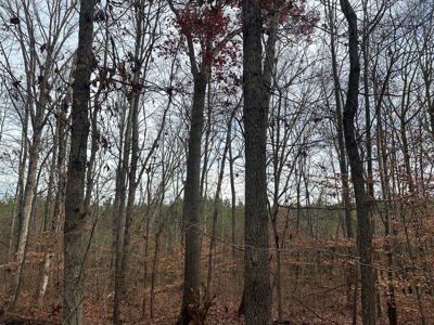 4.19 Acre Building Lot in Western Halifax County, VA - image 8