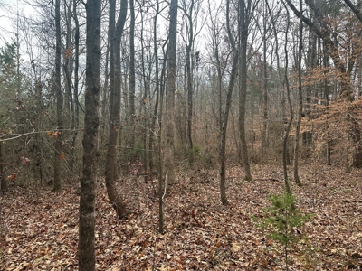 4.19 Acre Building Lot in Western Halifax County, VA - image 12