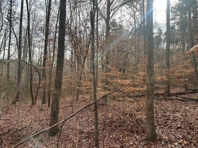 4.19 Acre Building Lot in Western Halifax County, VA - image 9