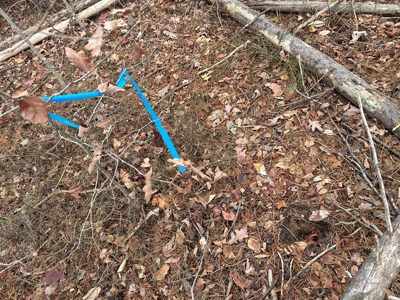 4.19 Acre Building Lot in Western Halifax County, VA - image 5